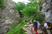 Clicca qui per vedere l'immagine in dettaglio